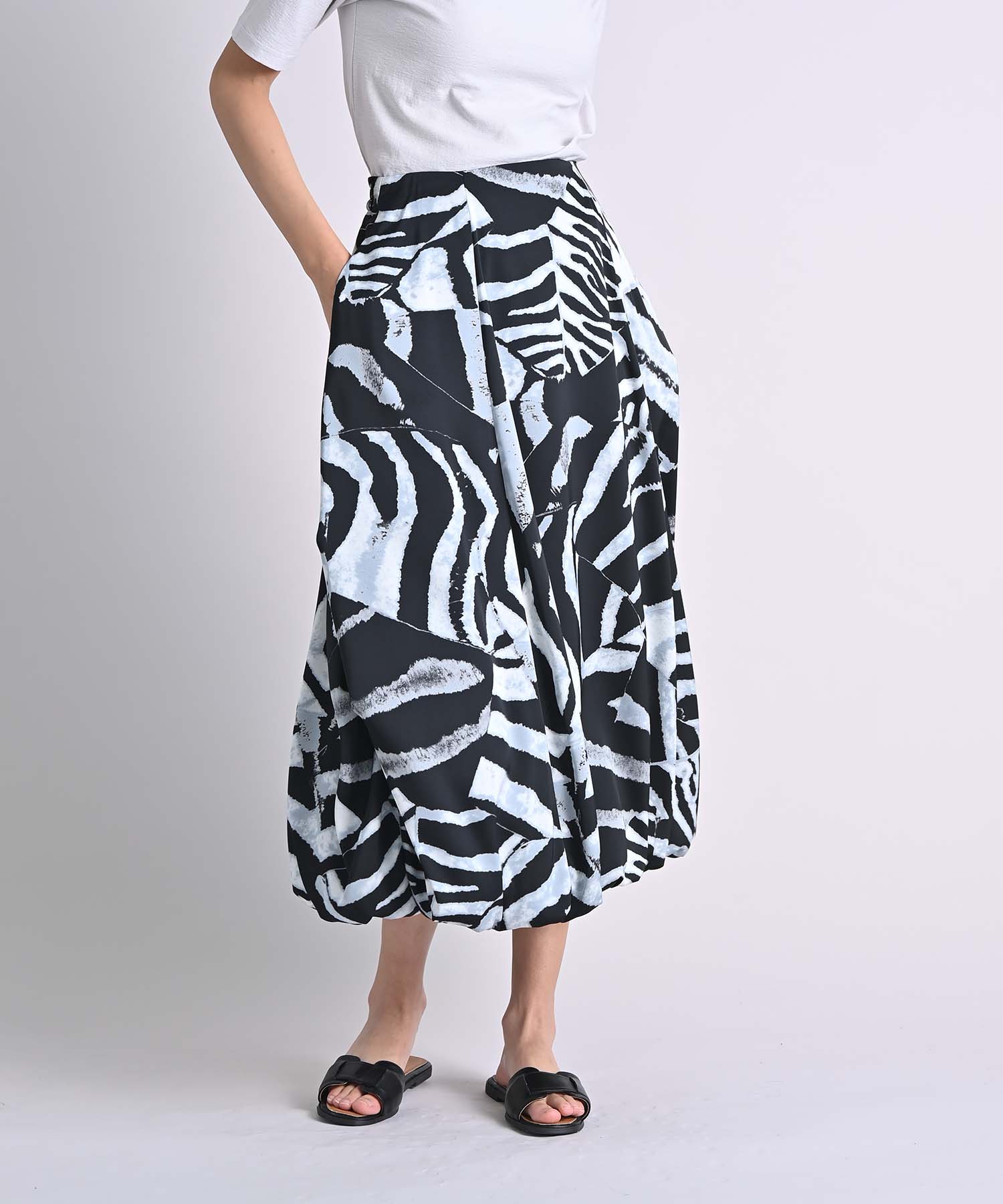 �J���[�o���G�[�V����